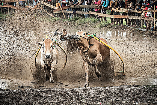 xskt binh phuoc