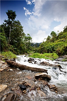 du doan dau duoi mb