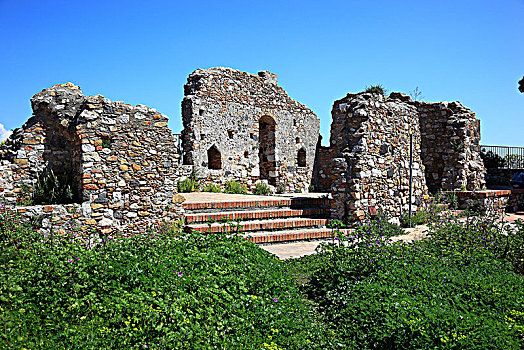 cau bach thu hom nay