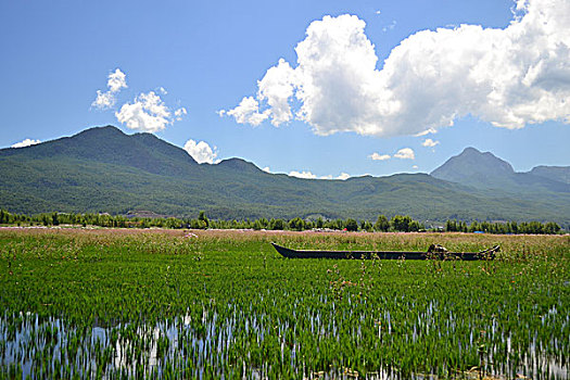 quay thử xổ số miền nam hôm nay