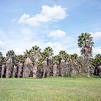 soxokienthiet