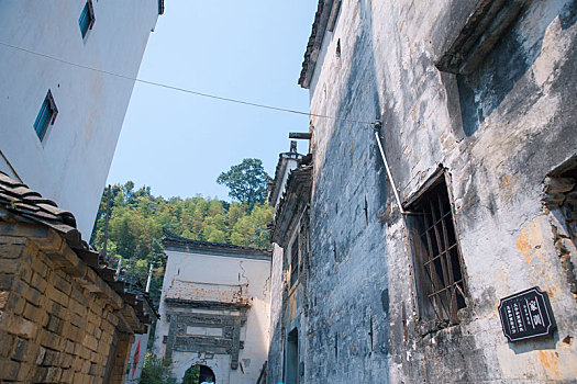 lô bạch thu hôm nay