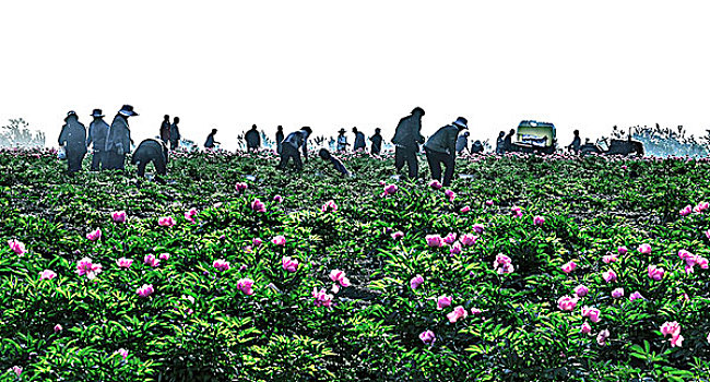 xổ số miền
