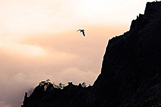 sổ kq
