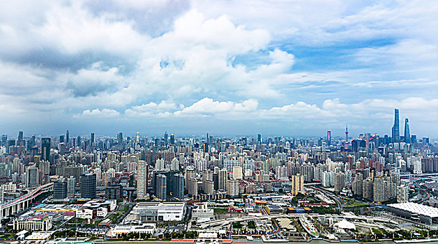 tuyet chieu soi cau