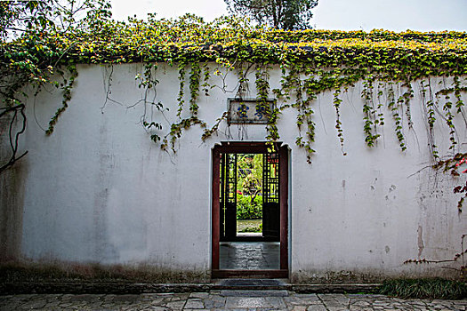 soi cau lo khung