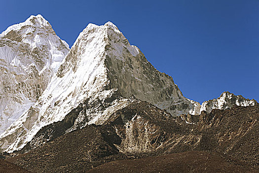 soi lo bach thu