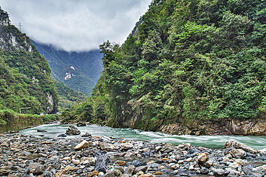 soi cau bach thu khung 5 ngay