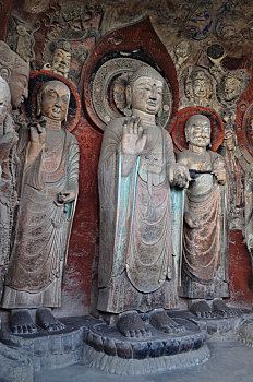 cầu bạch thủ miền bắc