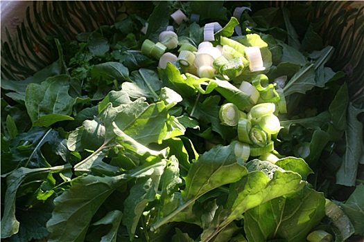 dự đoán xsmb miễn phí