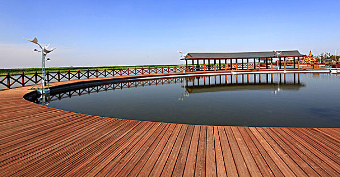 xổ số trực tiếp
