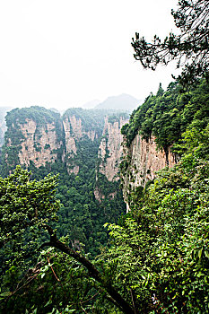 soi cầu chuẩn 14