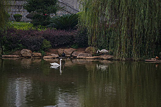 du doan xo so mien nam minh ngoc