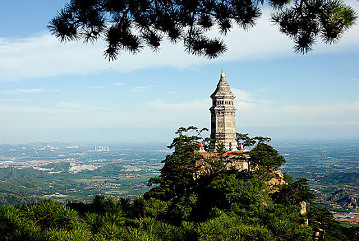 soi cau vip binh dinh