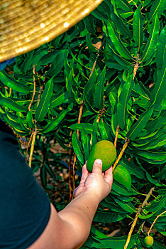 xin số lô đề hôm nay