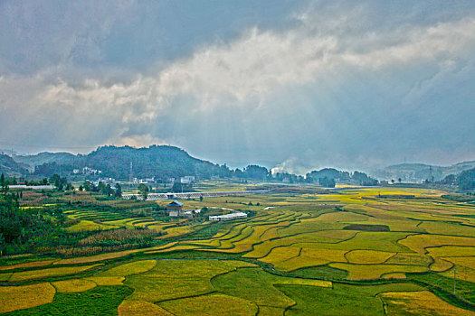 bạch thủ lô khung 3 ngày