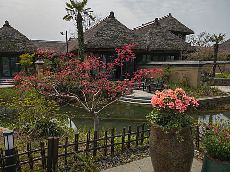 bachthu lode mienbac
