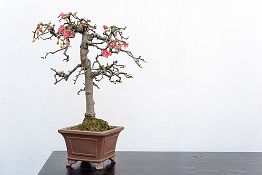 dự đoán đài miền bắc