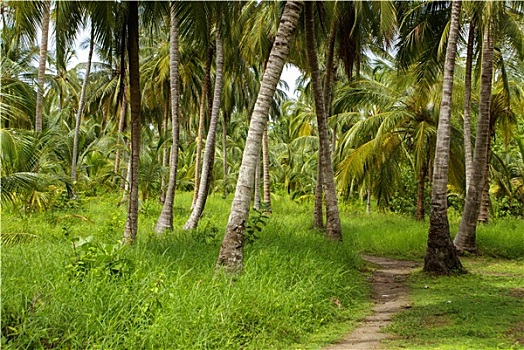 dự đoán xổ số phú yên 100