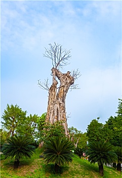soi cầu miền nam chính xác