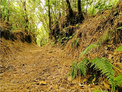 xổ số minh ngọc thứ hai