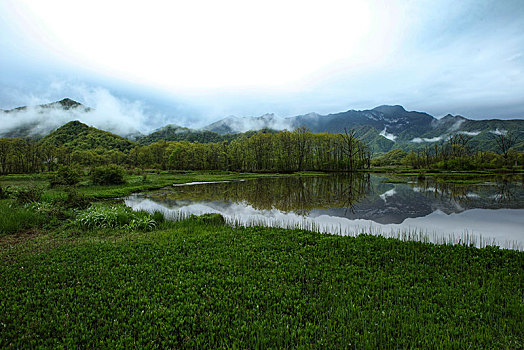lo kep khung 3 ngay 247