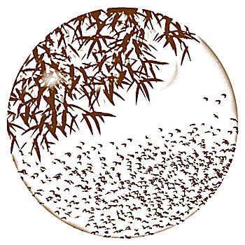 dự đoán bình định