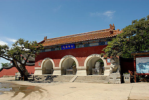 xs m trung