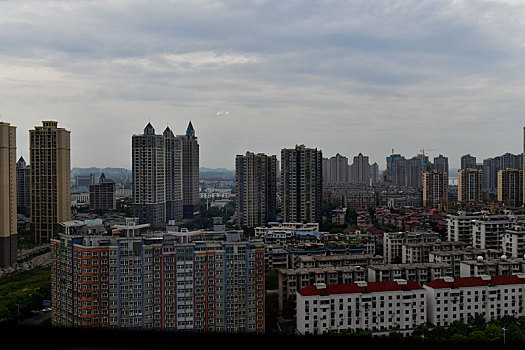 xem rong bach kim