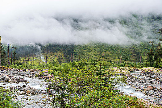 soi cau bach thu888