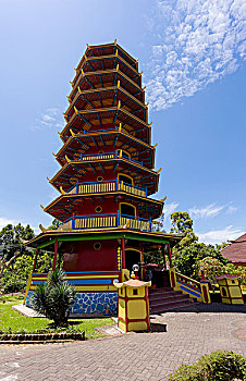 bạch thủ lô 88