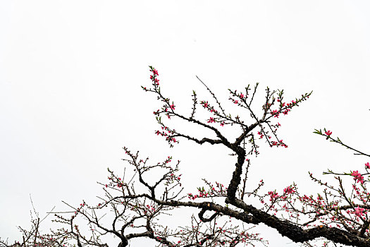 thống kê lô tô miền bắc