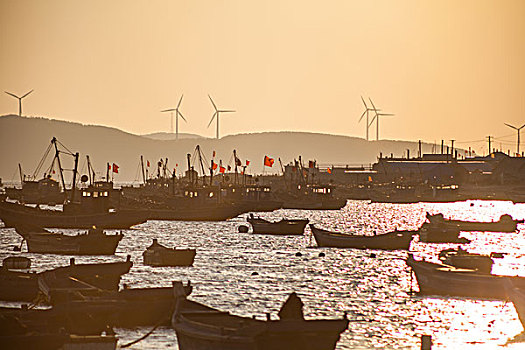 bạch thủ đề chuẩn