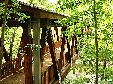 thong ke rong bach kim