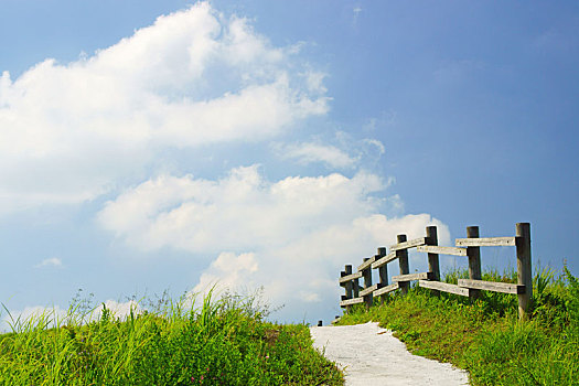 cau rong bạch kim