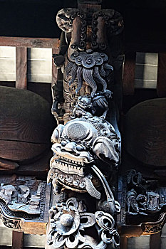 soi câu 888