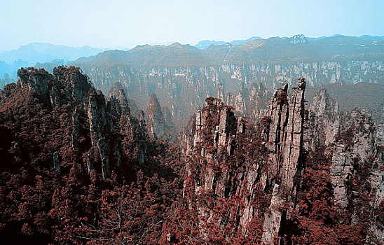 so xo mình ngoc