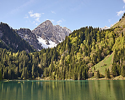 cau bach kim