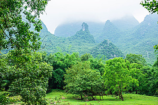 dự đoán xổ số tây ninh