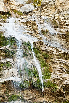 soi cầu bạch kim