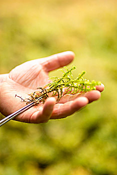 soi cầu xổ số kiên giang
