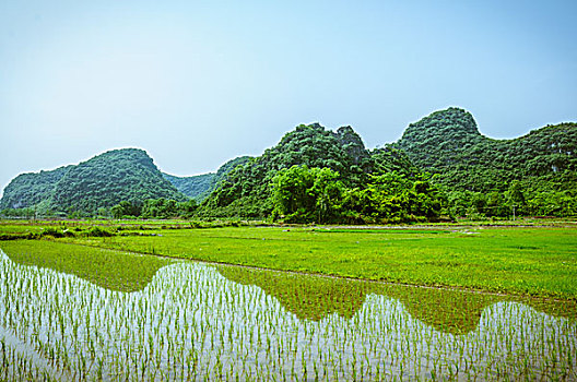 soi cau 366