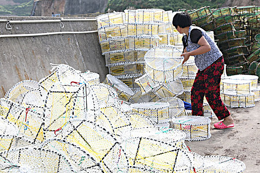 số miền bắc xổ số miền bắc
