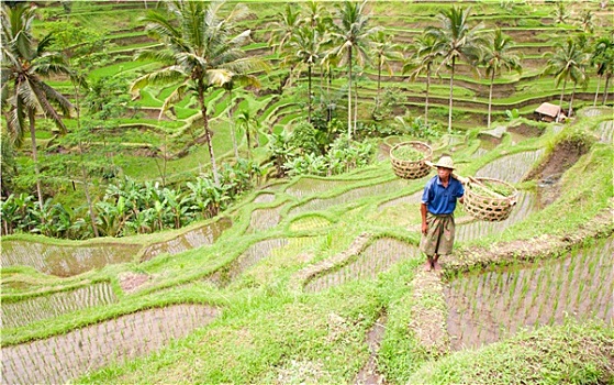 soi cau lo xien mien bac