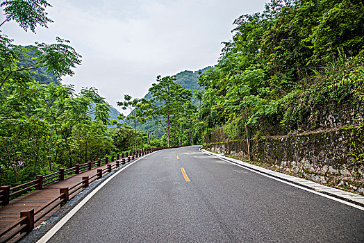 soi cầu bach thủ