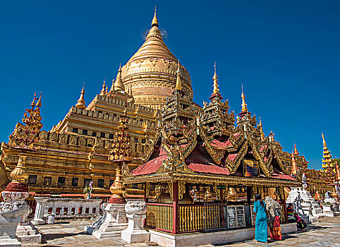 soi cau vip binh dinh