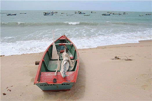 soi cau bach thu 888