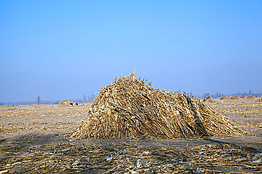 xo so miền bac