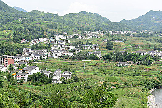 cau bach thu xskt