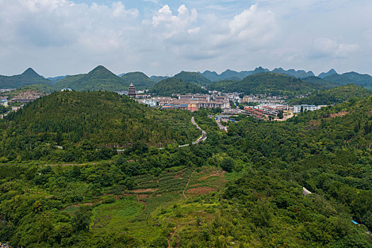 soi cau rong bach kim 88